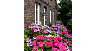 40-rondom 2007 details 001