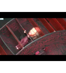 Us, eggs of evolution part I